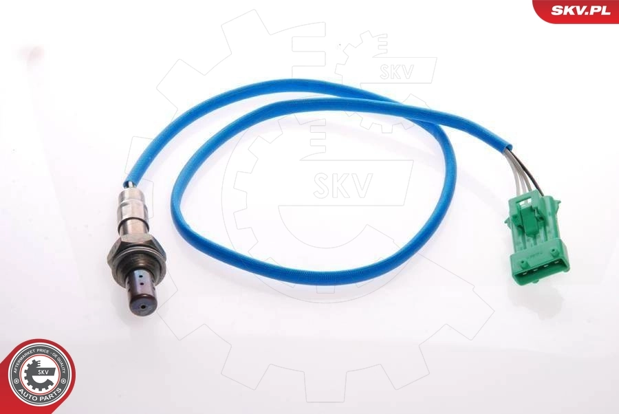 Oxygen Sensor